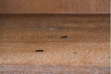 和製アンティーク　希少デザイン!!　収納棚付きのレトロな薄型シェルフ　(R-083539)