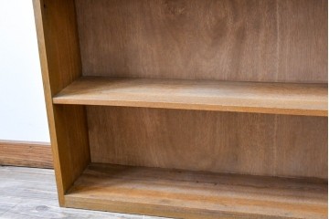 和製アンティーク　希少デザイン!!　収納棚付きのレトロな薄型シェルフ　(R-083539)