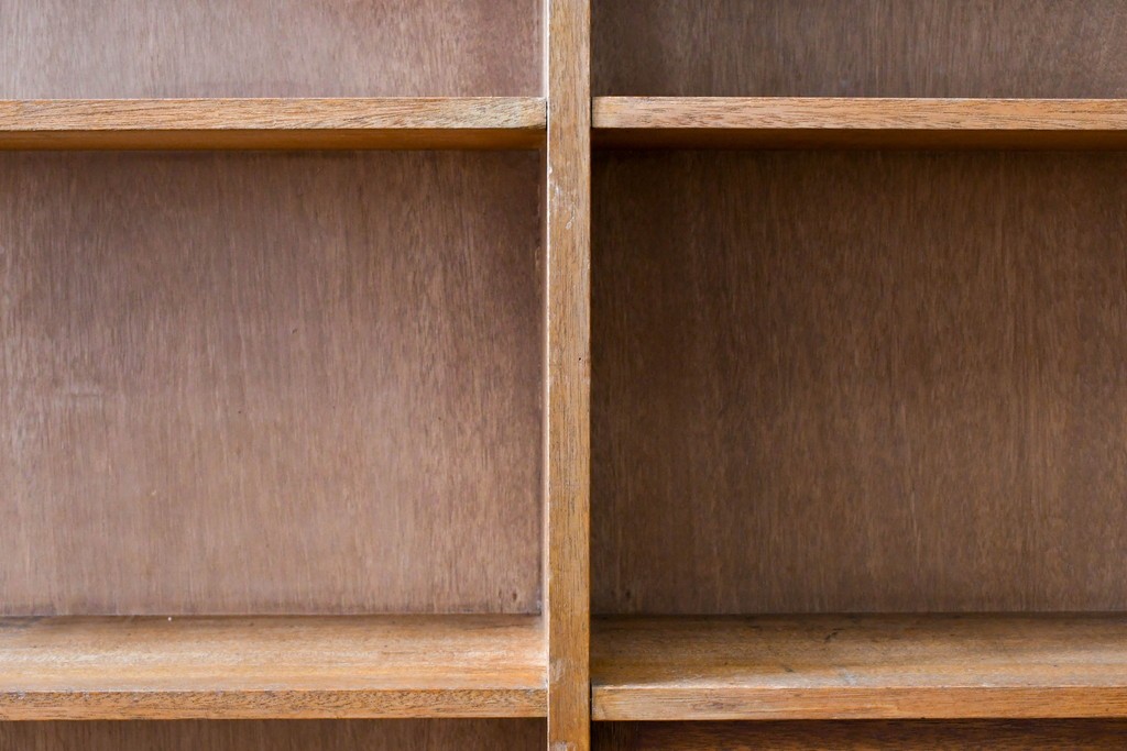 和製アンティーク　希少デザイン!!　収納棚付きのレトロな薄型シェルフ　(R-083539)