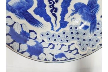 江戸期　太明成化年製　古伊万里　染付　孔雀　約59cm　1尺9寸　写実的な筆致と繊細な濃淡が空間に存在感を放つ大皿(鳥、花、和皿、和食器、尺皿、一尺九寸)(R-083551)