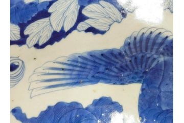 江戸期　太明成化年製　古伊万里　染付　孔雀　約59cm　1尺9寸　写実的な筆致と繊細な濃淡が空間に存在感を放つ大皿(鳥、花、和皿、和食器、尺皿、一尺九寸)(R-083551)
