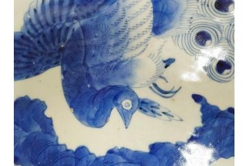 江戸期　太明成化年製　古伊万里　染付　孔雀　約59cm　1尺9寸　写実的な筆致と繊細な濃淡が空間に存在感を放つ大皿(鳥、花、和皿、和食器、尺皿、一尺九寸)(R-083551)
