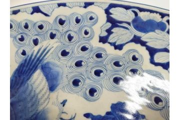 江戸期　太明成化年製　古伊万里　染付　孔雀　約59cm　1尺9寸　写実的な筆致と繊細な濃淡が空間に存在感を放つ大皿(鳥、花、和皿、和食器、尺皿、一尺九寸)(R-083551)