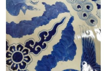江戸期　太明成化年製　古伊万里　染付　孔雀　約59cm　1尺9寸　写実的な筆致と繊細な濃淡が空間に存在感を放つ大皿(鳥、花、和皿、和食器、尺皿、一尺九寸)(R-083551)
