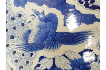 江戸期　太明成化年製　古伊万里　染付　孔雀　約59cm　1尺9寸　写実的な筆致と繊細な濃淡が空間に存在感を放つ大皿(鳥、花、和皿、和食器、尺皿、一尺九寸)(R-083551)