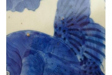 江戸期　太明成化年製　古伊万里　染付　孔雀　約59cm　1尺9寸　写実的な筆致と繊細な濃淡が空間に存在感を放つ大皿(鳥、花、和皿、和食器、尺皿、一尺九寸)(R-083551)