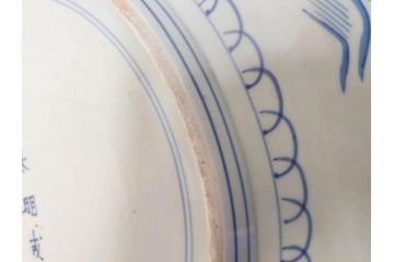 江戸期　太明成化年製　古伊万里　染付　孔雀　約59cm　1尺9寸　写実的な筆致と繊細な濃淡が空間に存在感を放つ大皿(鳥、花、和皿、和食器、尺皿、一尺九寸)(R-083551)