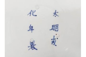 江戸期　太明成化年製　古伊万里　染付　孔雀　約59cm　1尺9寸　写実的な筆致と繊細な濃淡が空間に存在感を放つ大皿(鳥、花、和皿、和食器、尺皿、一尺九寸)(R-083551)