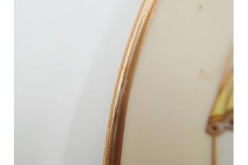 明治〜大正期　オールドノリタケ　NORITAKE　金彩　金盛　ハンドペイント　雉　蝶　丁寧に施された装飾が日常に彩りと品格を添えるプレート2枚セット(ちょう、鳥、キジ、取手付、大皿、中皿、洋食器)(R-083568)