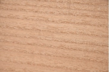 アンティーク建具　昭和初期　木立と鳥居の風景をモチーフにした透かし彫り入り欄間2枚セット　(R-083619)