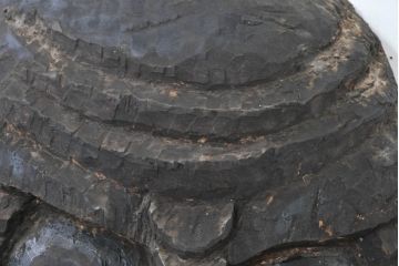 和製アンティーク　古民芸　時代物　江戸～明治期　特大　力強い表情が目を引く木彫りの竈(かまど)面(古面、オブジェ、飾り、アート)(R-083630)