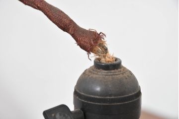 和製アンティーク　当時物の雰囲気を残すガイシ(碍子)付き吊り下げ照明(ペンダントライト、天井照明)(R-083636)