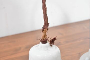 和製アンティーク　当時物の雰囲気を残すガイシ(碍子)付き吊り下げ照明(ペンダントライト、天井照明)(R-083636)