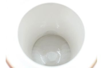 明治〜大正期　オールドノリタケ　NORITAKE　ハンドペイント　金彩　金盛　白鳥葦文　優雅な雰囲気漂うポット・カップ&ソーサー4客・プレート5枚セット(トリオ、デミタス、コーヒー、C&S、碗皿)(R-083678)