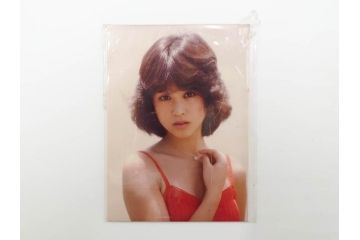 当時物　昭和期　松田聖子　キャンディーズ　伊藤蘭　藤村美樹　田中好子　大場久美子　ラミネートカード　ブロマイドなど21点セット(サンミュージック、渡辺プロダクション、アイドル、歌手、女優)(R-083682)