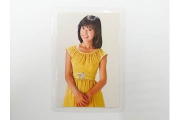 当時物　昭和期　松田聖子　キャンディーズ　伊藤蘭　藤村美樹　田中好子　大場久美子　ラミネートカード　ブロマイドなど21点セット(サンミュージック、渡辺プロダクション、アイドル、歌手、女優)(R-083682)