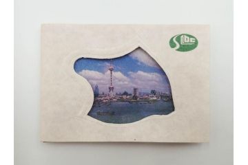 中国　浦東開発5周年　上海　純銀　龍　記念メダル(コレクション証明書付、ケース付)(R-083683)