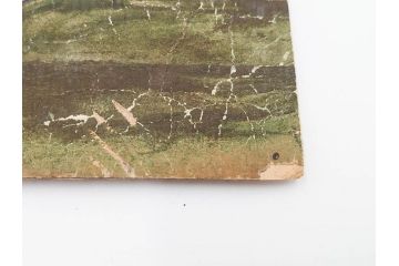 時代物　江戸期　奈良絵7枚セット(物語絵、風景、貴族、狐)(R-083684)