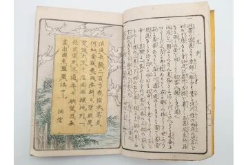 江戸期　暁晴翁著　松川半山画　淀川両岸一覧　上り船の部　上下 2冊揃(木版画、地誌、古書、和本)(R-083687)　