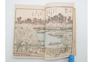 江戸期　暁晴翁著　松川半山画　淀川両岸一覧　上り船の部　上下 2冊揃(木版画、地誌、古書、和本)(R-083687)　