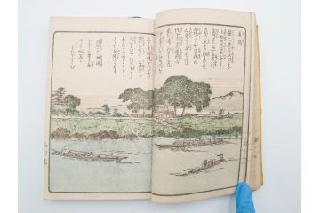 江戸期　暁晴翁著　松川半山画　淀川両岸一覧　上り船の部　上下 2冊揃(木版画、地誌、古書、和本)(R-083687)　