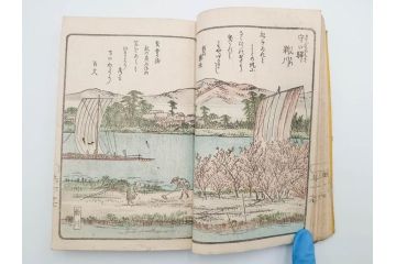 江戸期　暁晴翁著　松川半山画　淀川両岸一覧　上り船の部　上下 2冊揃(木版画、地誌、古書、和本)(R-083687)　