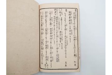 江戸期　暁晴翁著　松川半山画　淀川両岸一覧　上り船の部　上下 2冊揃(木版画、地誌、古書、和本)(R-083687)　