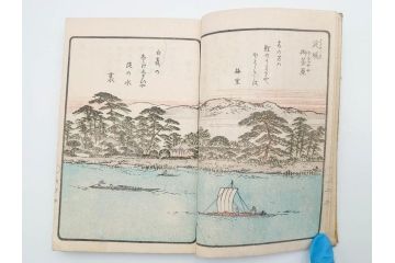 江戸期　暁晴翁著　松川半山画　淀川両岸一覧　上り船の部　上下 2冊揃(木版画、地誌、古書、和本)(R-083687)　