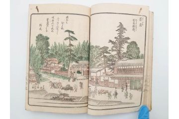 江戸期　暁晴翁著　松川半山画　淀川両岸一覧　上り船の部　上下 2冊揃(木版画、地誌、古書、和本)(R-083687)　