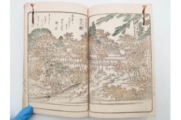 江戸期　暁晴翁著　松川半山画　淀川両岸一覧　上り船の部　上下 2冊揃(木版画、地誌、古書、和本)(R-083687)　