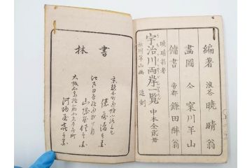 江戸期　暁晴翁著　松川半山画　淀川両岸一覧　上り船の部　上下 2冊揃(木版画、地誌、古書、和本)(R-083687)　