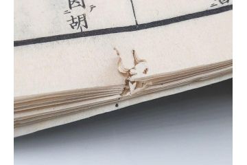 江戸〜明治期　諸體心経(諸体心経)　和本(般若心経、仏教、古書)(R-083688)