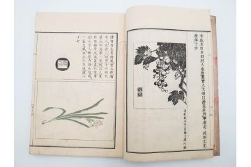 明治27年　増補　谷文晁本朝画纂大全　4冊揃(彩色木版画、古書、和本)(R-083690)　