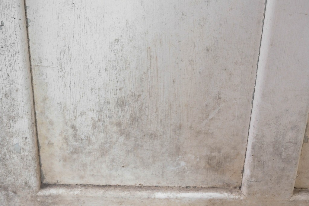 《ペイント仕上げ限定》　ヴィンテージ建具　昭和中期　木枠の風合いが味わい深いモールガラス入り引き戸1枚　(R-083733)