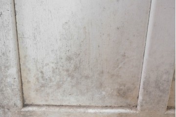 《ペイント仕上げ限定》　ヴィンテージ建具　昭和中期　木枠の風合いが味わい深いモールガラス入り引き戸1枚　(R-083733)