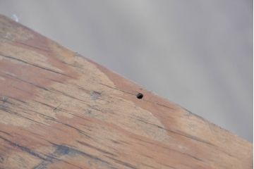 フランスアンティーク　パイン材　カントリースタイルのお部屋におすすめ!木のぬくもり溢れるサイドチェスト(引き出し)(R-083775)