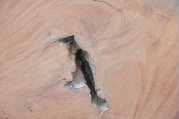 和製アンティーク　特大!!　重厚　杢目の良い総欅(ケヤキ)材一枚板　自然の風合いを活かした温かみあるデザインが魅力の衝立て(パーテーション、つい立て、衝い立て、間仕切り)(R-083790)