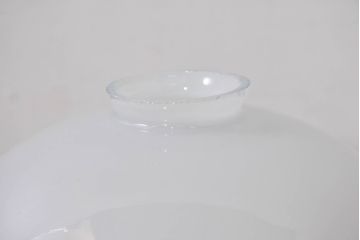 和製アンティーク　薔薇(バラ)　繊細なガラス絵が彩るレトロランプシェード2個セット(照明カバー、吊り下げ照明、ペンダントライト、天井照明、電笠)(R-083854)