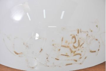 和製アンティーク　薔薇(バラ)　繊細なガラス絵が彩るレトロランプシェード(照明カバー、吊り下げ照明、ペンダントライト、天井照明、電笠)(R-083856)