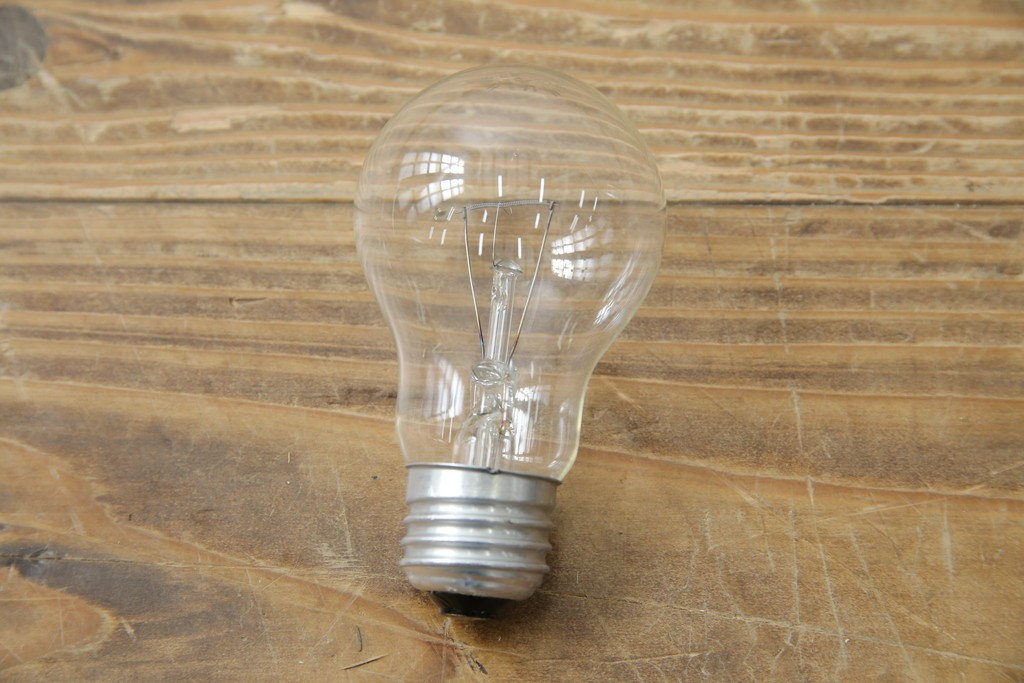 和製アンティーク　オールドノリタケ(日陶)　柘榴の図　手書きの繊細さと自然美を感じさる吊り下げ照明　(R-083886)