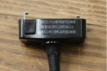 和製アンティーク　オールドノリタケ(日陶)　柘榴の図　手書きの繊細さと自然美を感じさる吊り下げ照明　(R-083886)