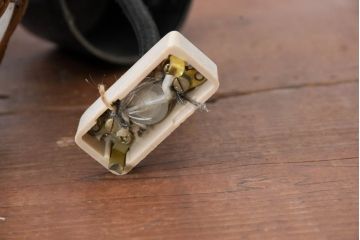 和製ビンテージ　ラタン飾り付き　温もり感じるデザインのペンダントライト(天井照明、吊り下げ照明、シェード、電笠、ヴィンテージ)(R-083894)