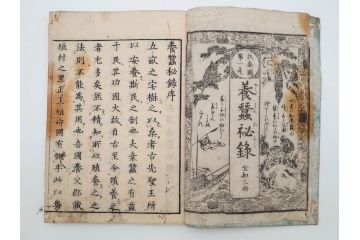江戸期　享和3年　上垣守国　西村中和・速水春暁斎画　「養蚕秘録」　3冊揃(蚕業、上垣伊兵衛守国、扶桑園第一産、木版画、絵入本、和本、古書)(R-083900)