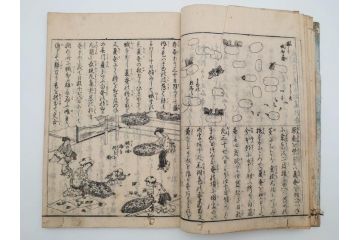 江戸期　享和3年　上垣守国　西村中和・速水春暁斎画　「養蚕秘録」　3冊揃(蚕業、上垣伊兵衛守国、扶桑園第一産、木版画、絵入本、和本、古書)(R-083900)