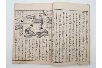 江戸期　享和3年　上垣守国　西村中和・速水春暁斎画　「養蚕秘録」　3冊揃(蚕業、上垣伊兵衛守国、扶桑園第一産、木版画、絵入本、和本、古書)(R-083900)