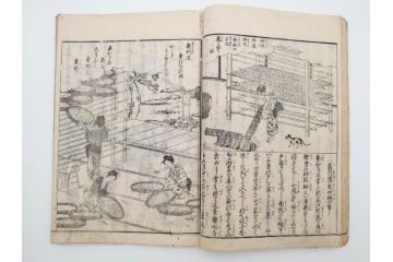 江戸期　享和3年　上垣守国　西村中和・速水春暁斎画　「養蚕秘録」　3冊揃(蚕業、上垣伊兵衛守国、扶桑園第一産、木版画、絵入本、和本、古書)(R-083900)