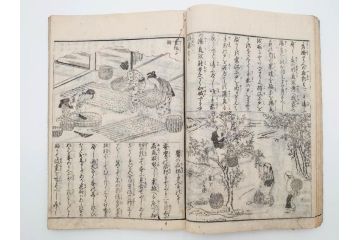 江戸期　享和3年　上垣守国　西村中和・速水春暁斎画　「養蚕秘録」　3冊揃(蚕業、上垣伊兵衛守国、扶桑園第一産、木版画、絵入本、和本、古書)(R-083900)