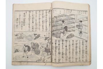 江戸期　享和3年　上垣守国　西村中和・速水春暁斎画　「養蚕秘録」　3冊揃(蚕業、上垣伊兵衛守国、扶桑園第一産、木版画、絵入本、和本、古書)(R-083900)