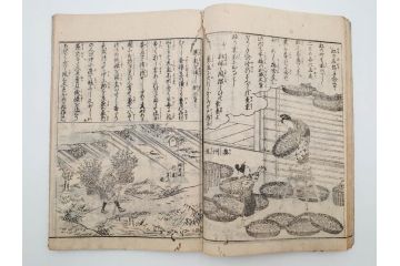 江戸期　享和3年　上垣守国　西村中和・速水春暁斎画　「養蚕秘録」　3冊揃(蚕業、上垣伊兵衛守国、扶桑園第一産、木版画、絵入本、和本、古書)(R-083900)
