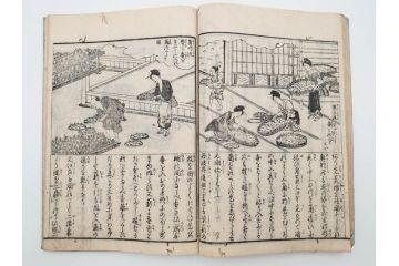 江戸期　享和3年　上垣守国　西村中和・速水春暁斎画　「養蚕秘録」　3冊揃(蚕業、上垣伊兵衛守国、扶桑園第一産、木版画、絵入本、和本、古書)(R-083900)